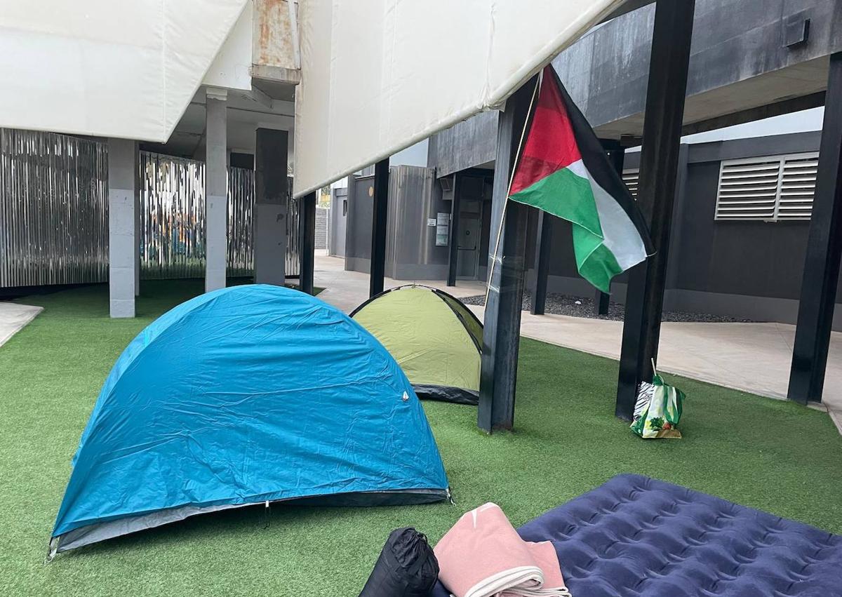 Imagen secundaria 1 - Alumnado de la ULPGC se suma a otras universidades españolas e inicia una acampada en apoyo a Palestina