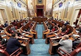 El reto demográfico, a debate en el Parlamento