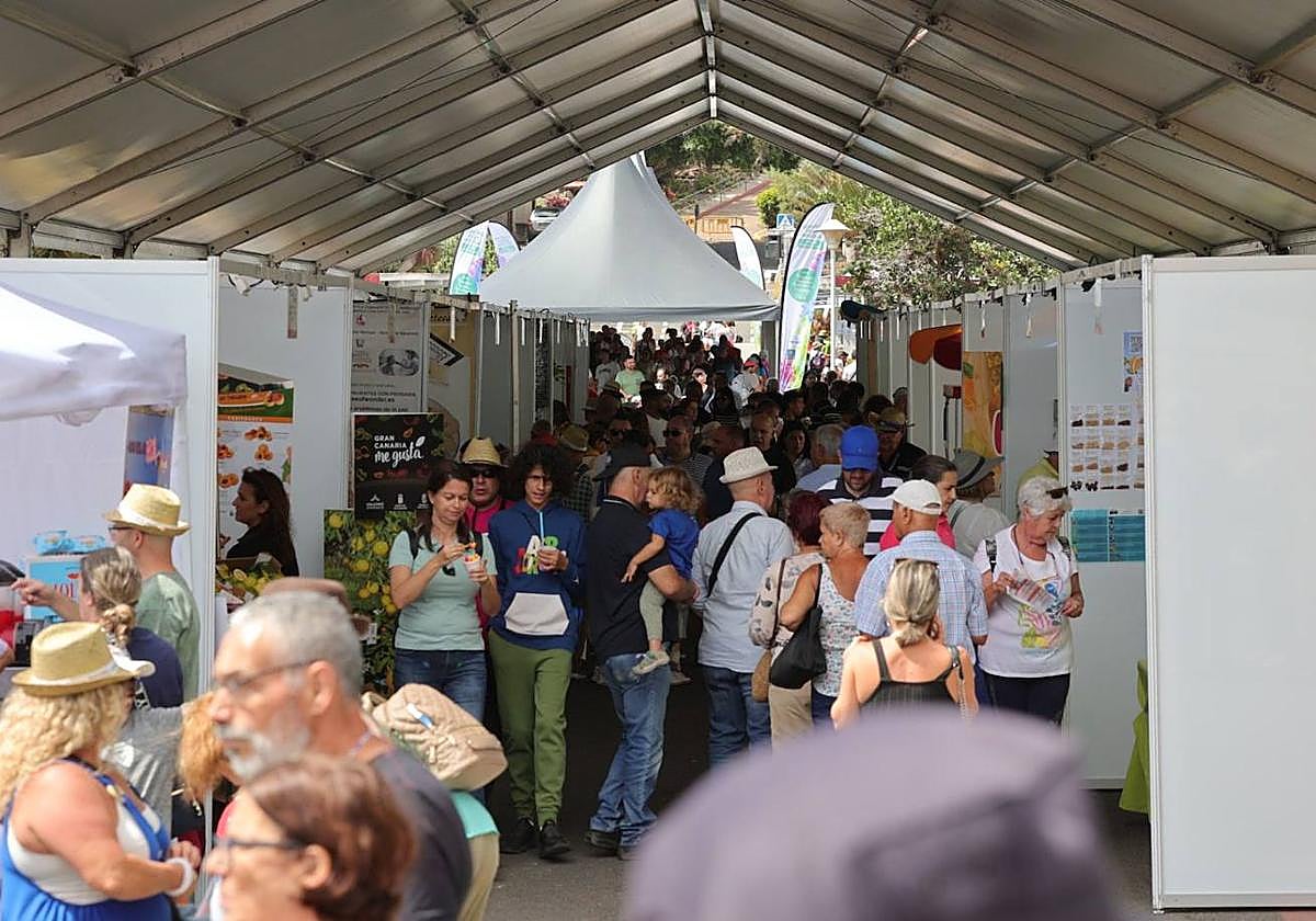 La feria de ganado de Arucas, en imágenes