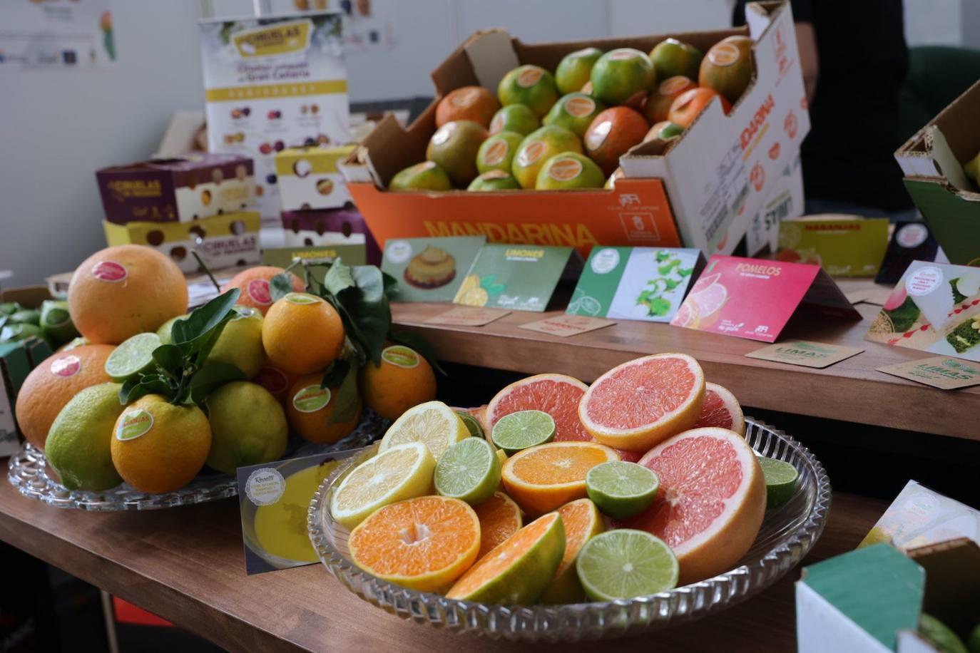 La feria de ganado de Arucas, en imágenes