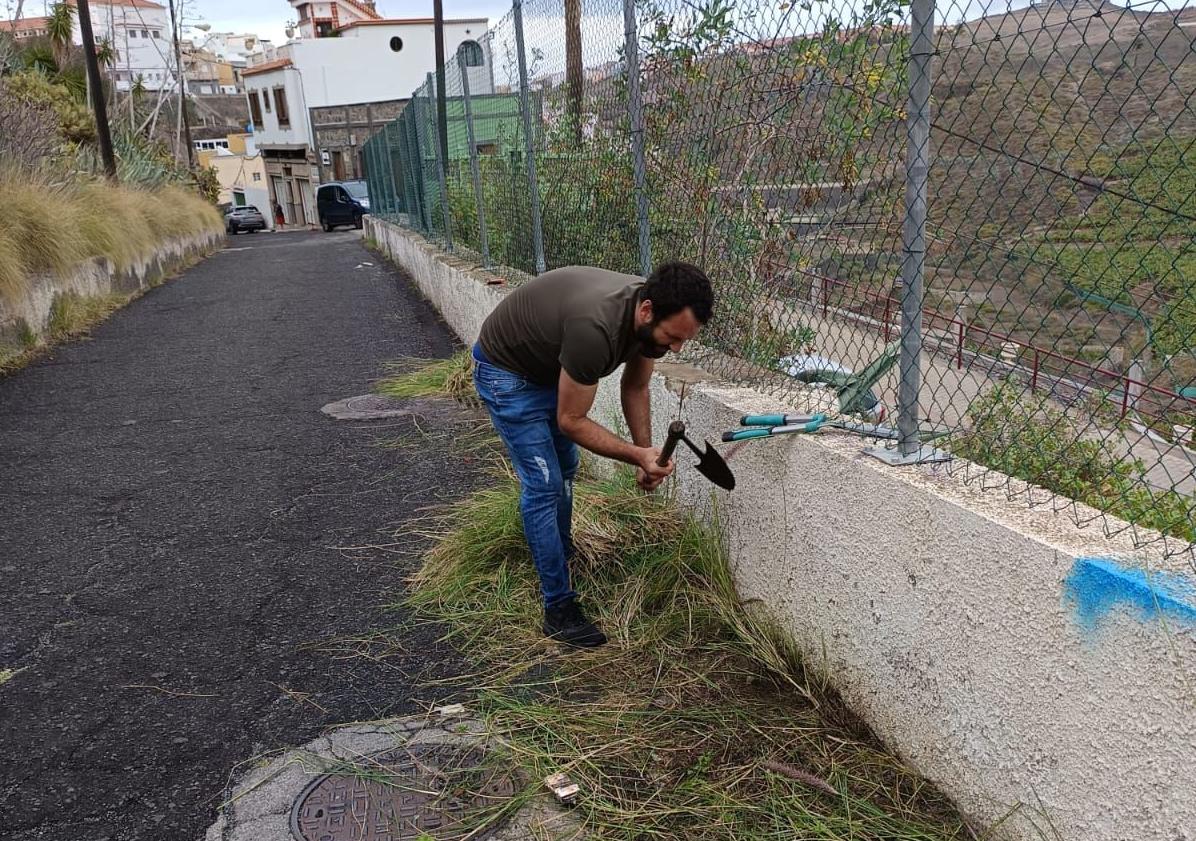 Imagen principal - Jardineros a la fuerza en Tenoya