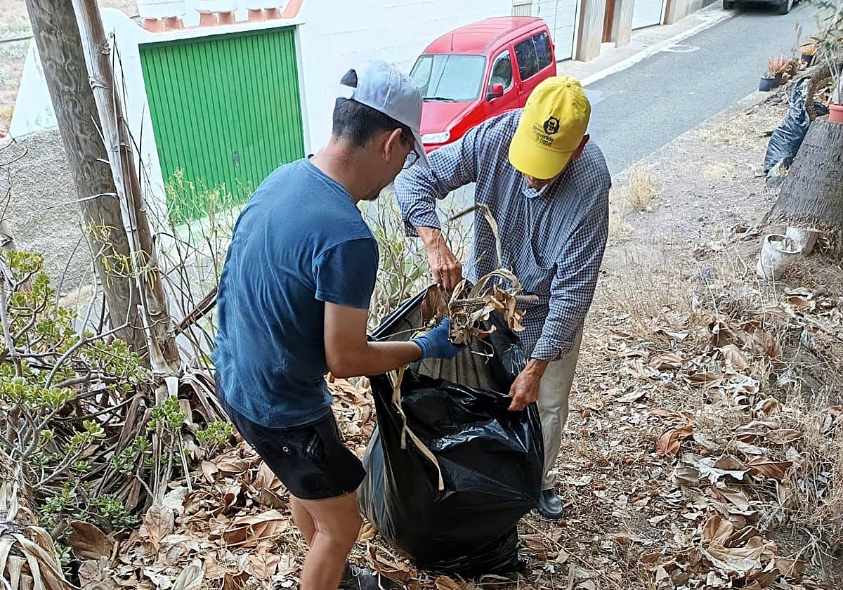 Jardineros a la fuerza en Tenoya