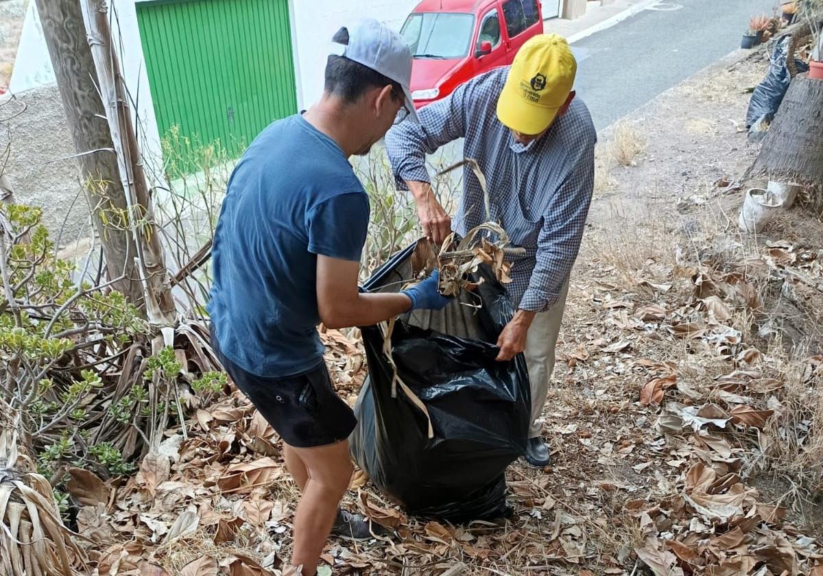 Dos vecinos recogen los restos de la poda en Tenoya.