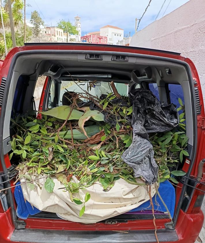 Imagen secundaria 2 - Jardineros a la fuerza en Tenoya