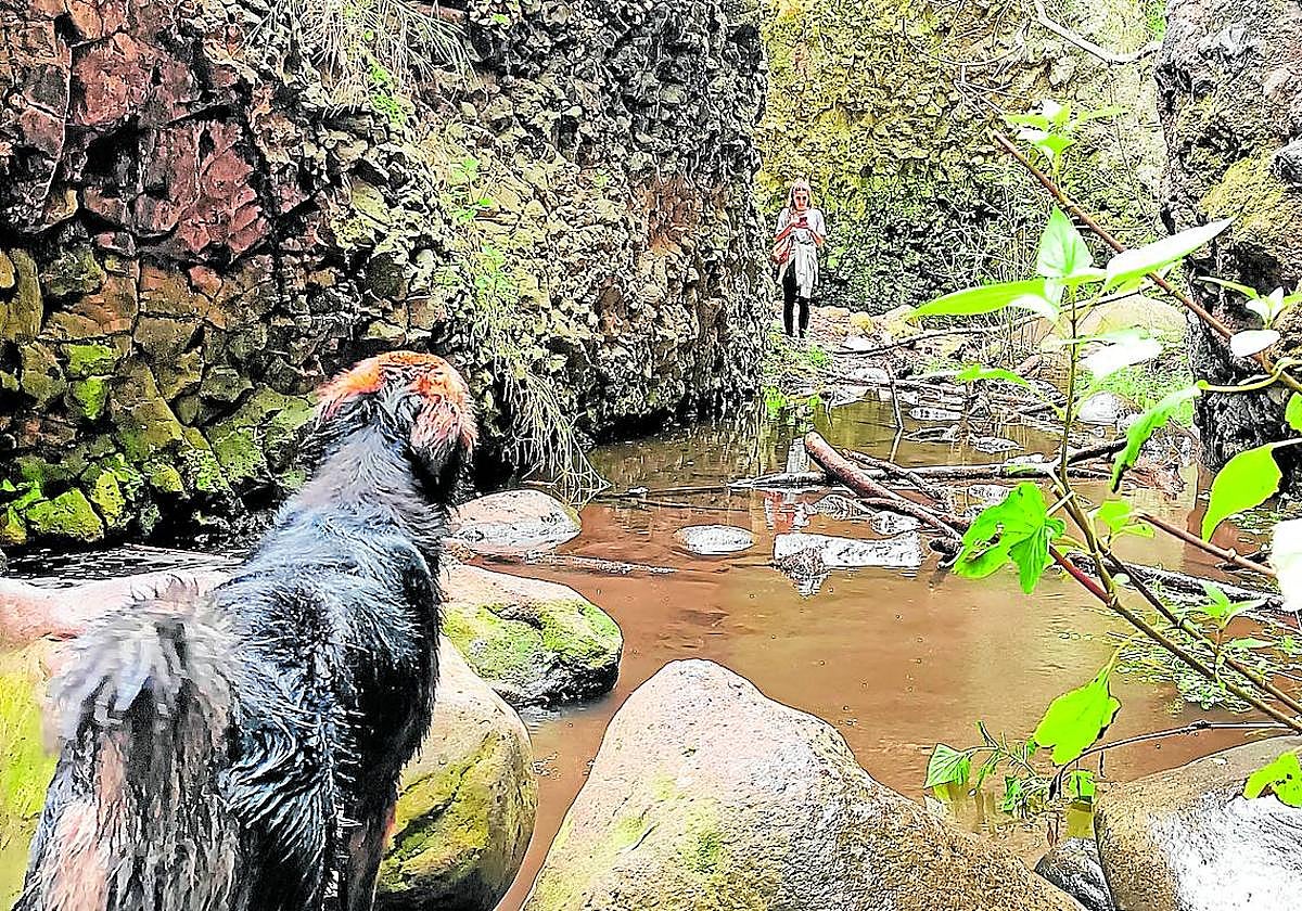 Barranco de Azuaje: naturaleza salvaje entre laurisilva y agua