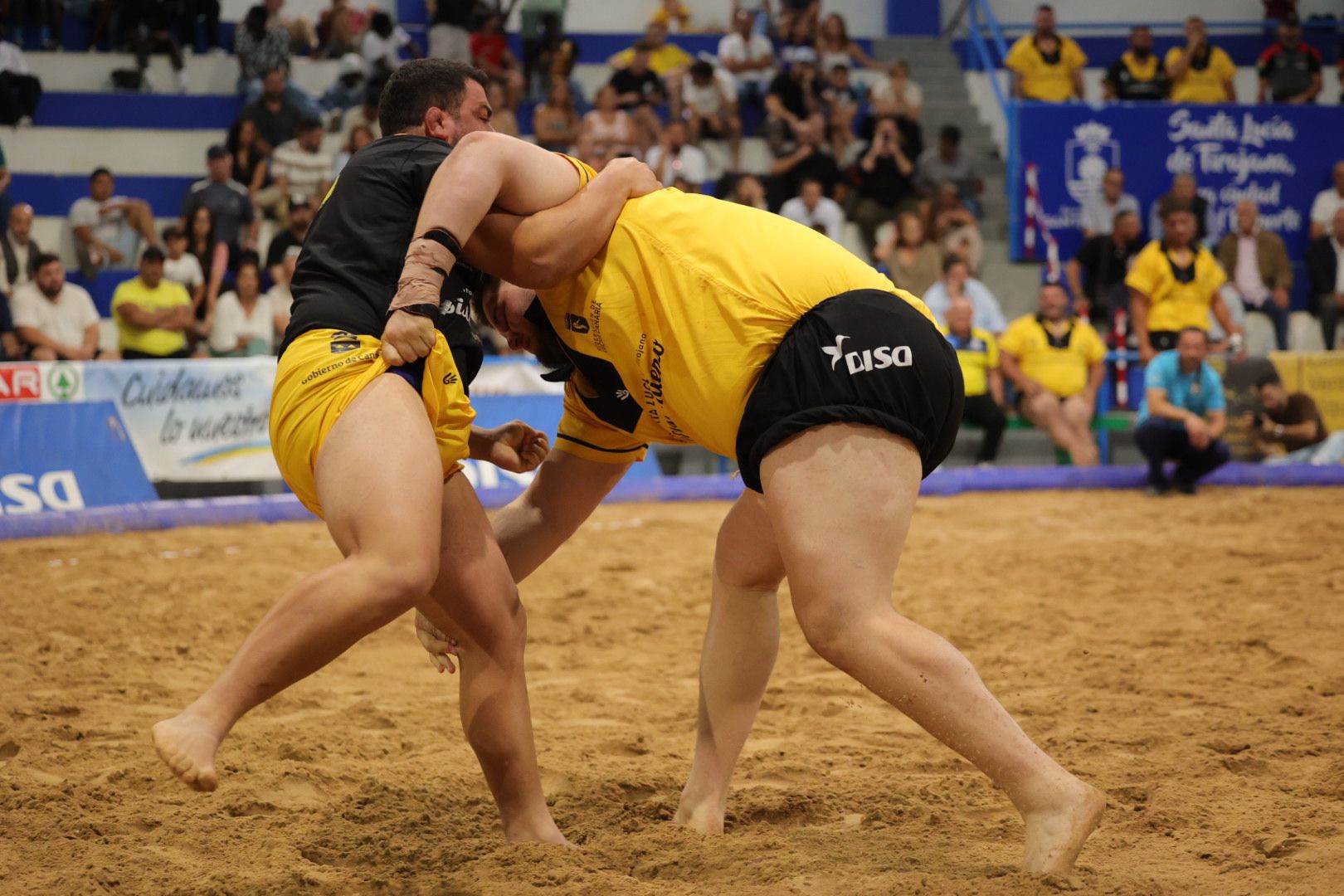 Las imágenes de la gran fiesta de la Luchada Institucional en Vecindario