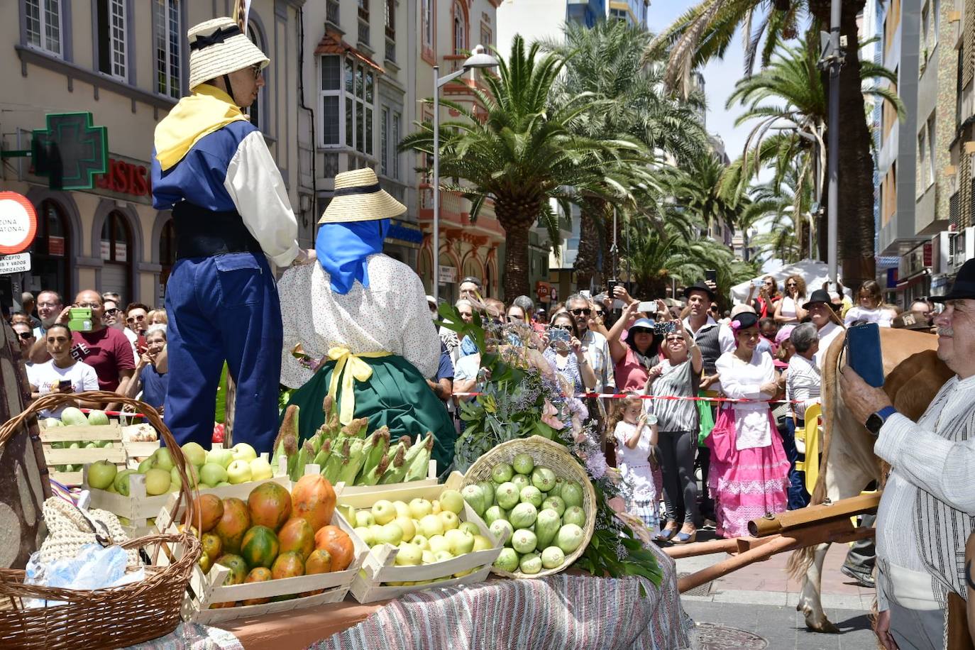 El Paseo Romero conquista Santa Catalina