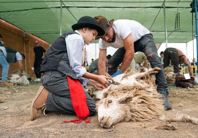 La Fiesta de La Lana sirve también para hacer cantera entre los pastores.