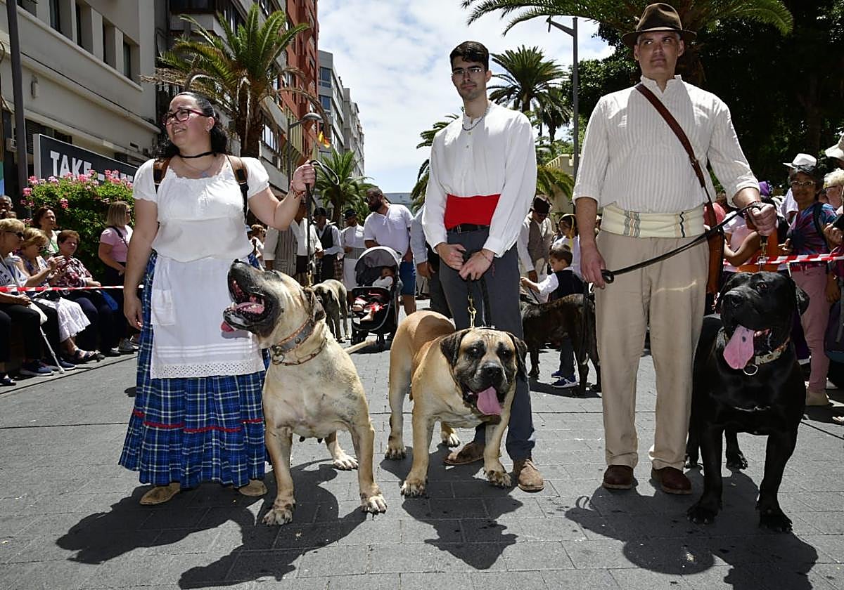 El Paseo Romero conquista Santa Catalina