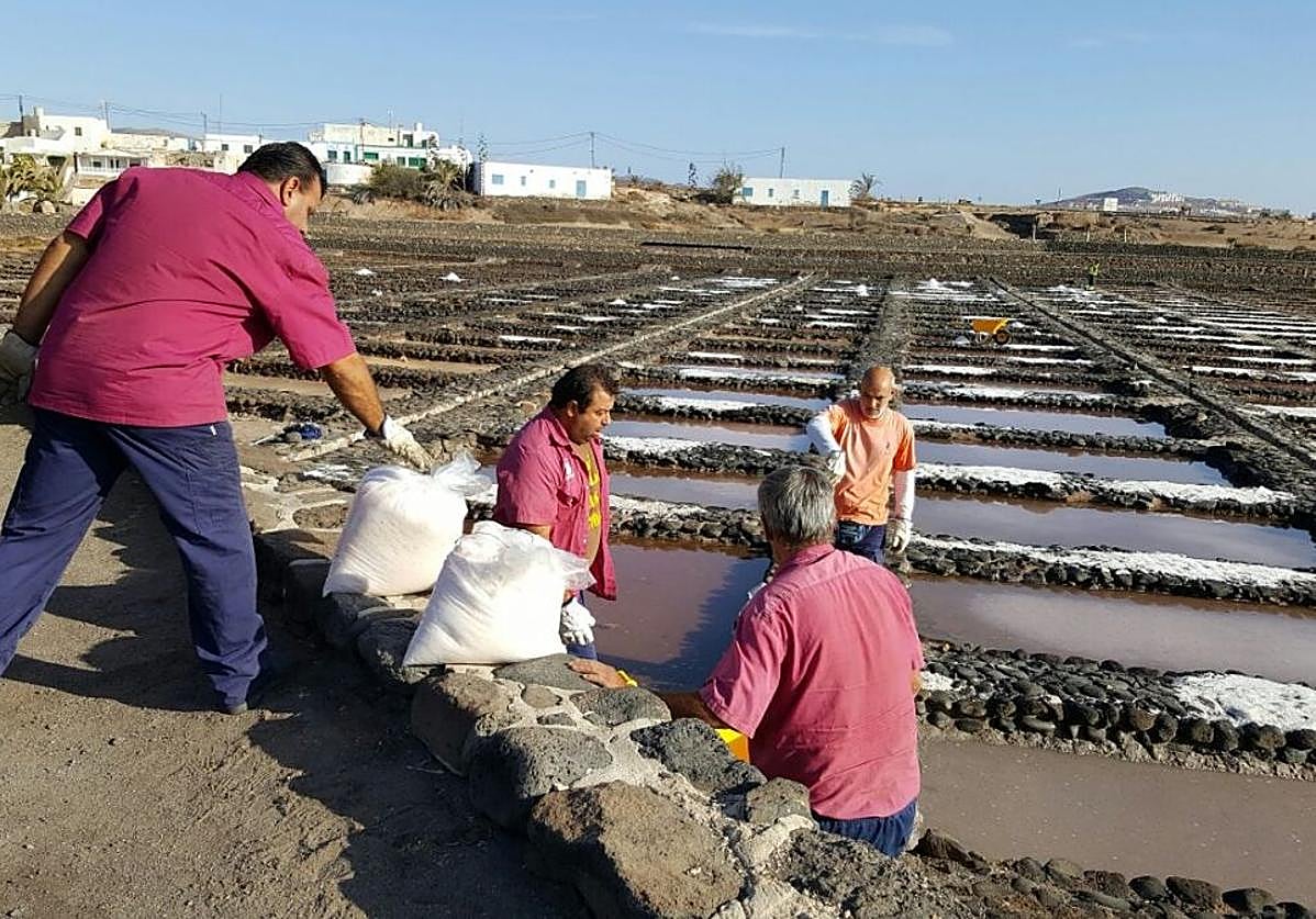 Los trabajadores municipales recogen la sal en las Salinas del Carmen, en el municipio de Antigua.