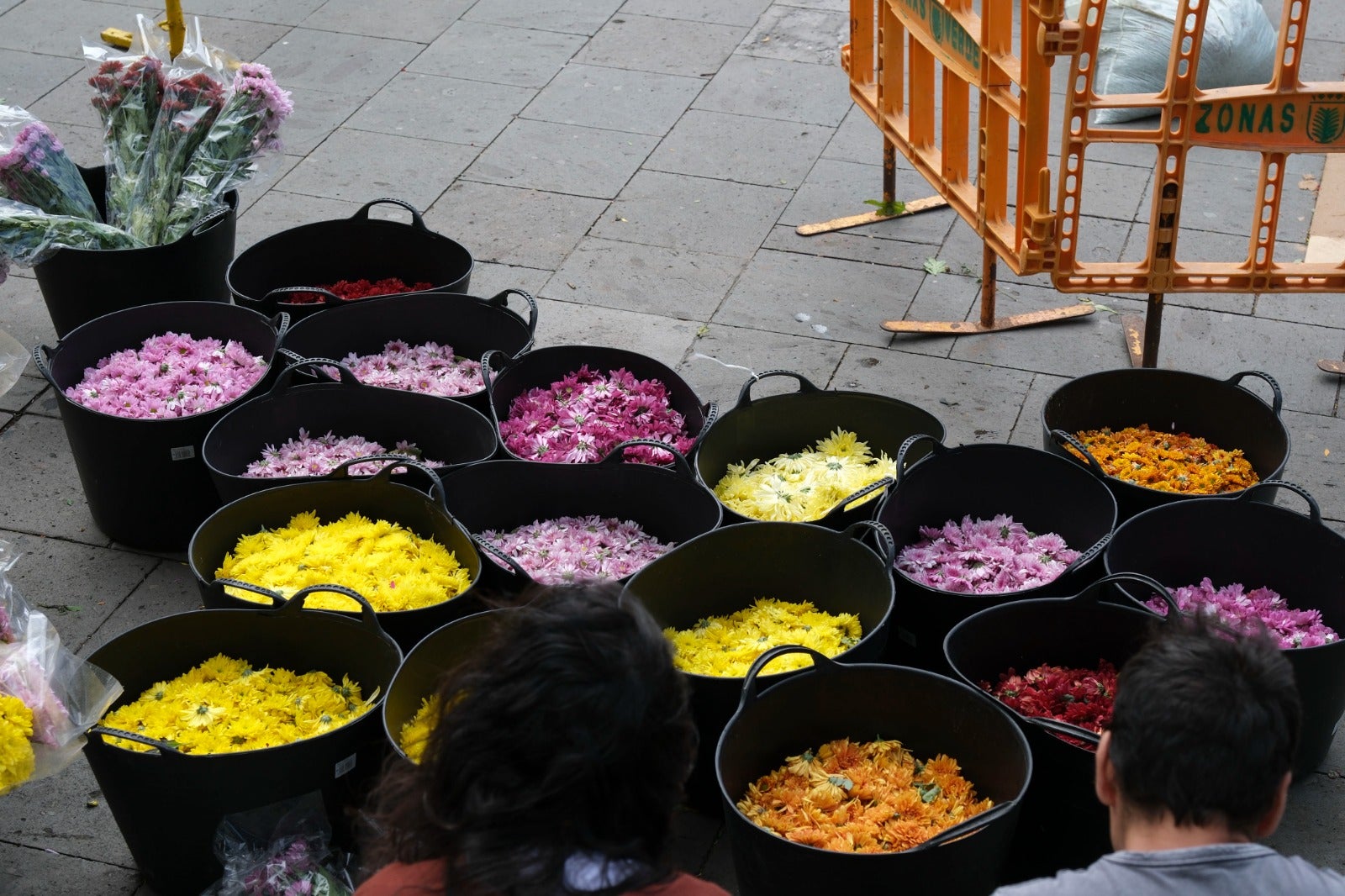 Flores, pasión y serrín en Vegueta
