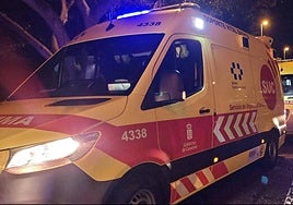 Una mujer grave al volcar su turismo cerca de Parque Holandés