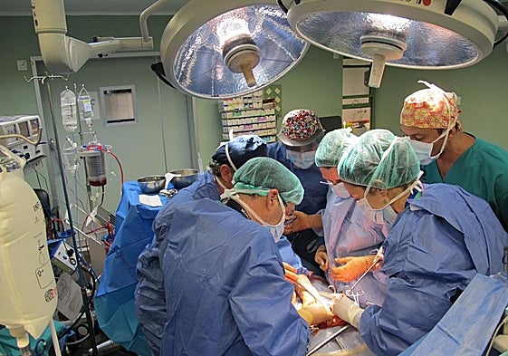 Una operación de trasplante.