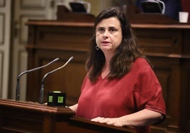 Rosa Viera, en una intervención en el Parlamento de Canarias.