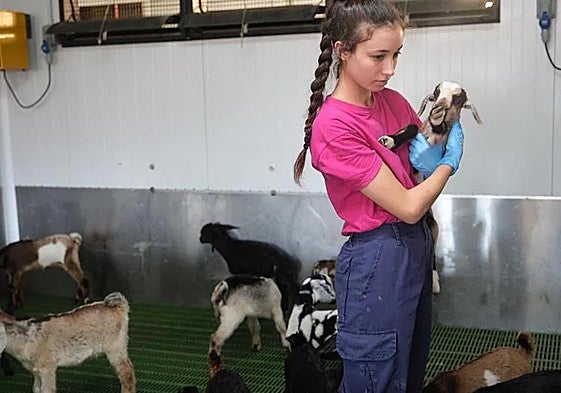 Baifos de la granja CaprinoTesjuate, del grupo Ganaderos de Fuerteventura, en brazos de su cuidadora, Mar Gutiérrez.