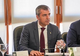 Manuel Domínguez, vicepresidente del Gobierno de Canarias