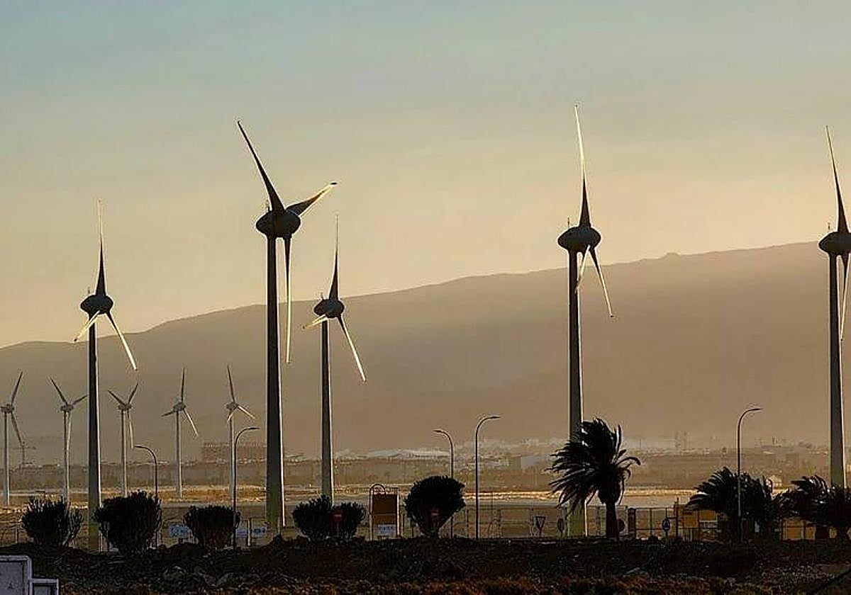 Cielos poco nubosos y fuertes vientos este sábado en Canarias