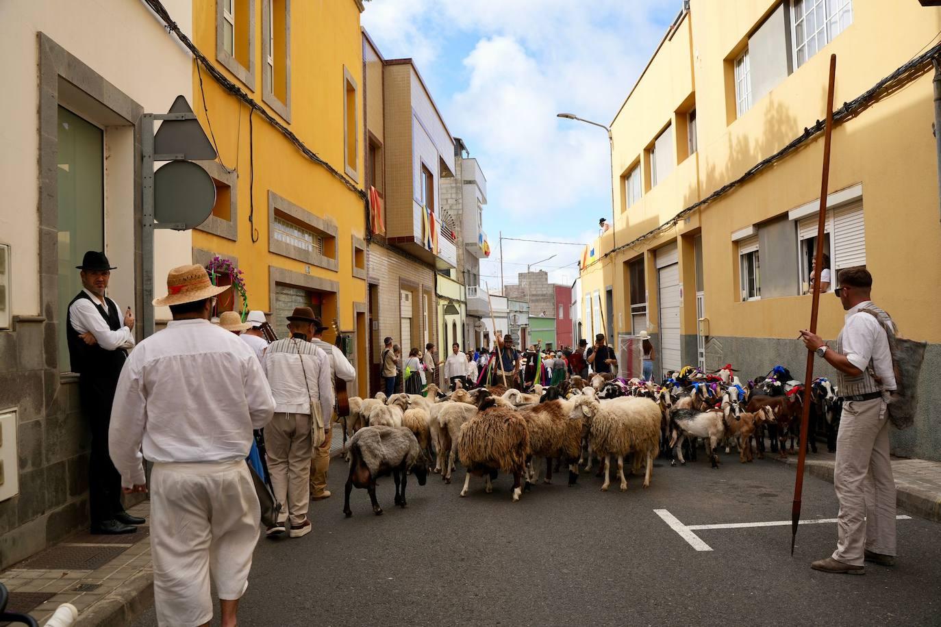 La romería de Arucas, en imágenes