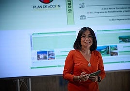 Darias ofreció declaraciones tras presentar en Madrid su proyecto para el Guiniguada.