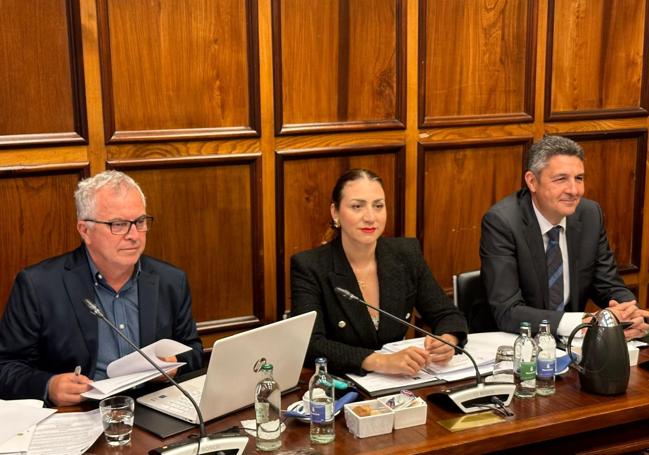 Los tres consejeros que integran el grupo político de CC en el Cabildo de Gran Canaria.