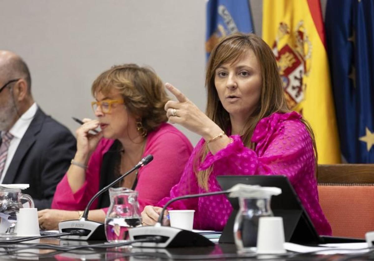 Imagen de archivo de la consejera de Presidencia, Administraciones Públicas, Justicia y Seguridad del Gobierno de Canarias, Nieves Lady Barreto, en el Parlamento de Canarias.