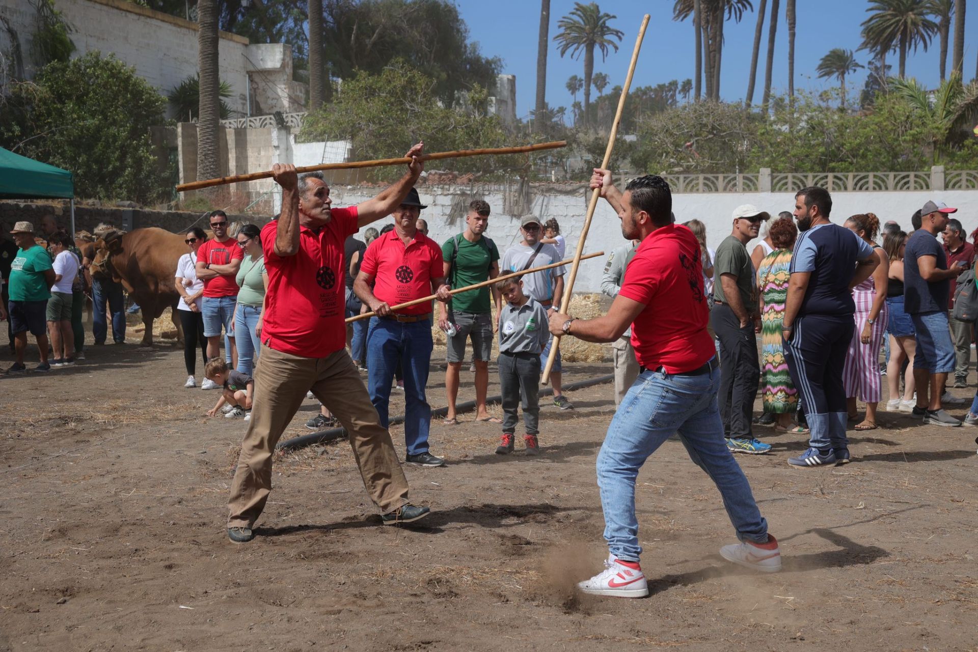 La feria de ganado de Telde, en imágenes