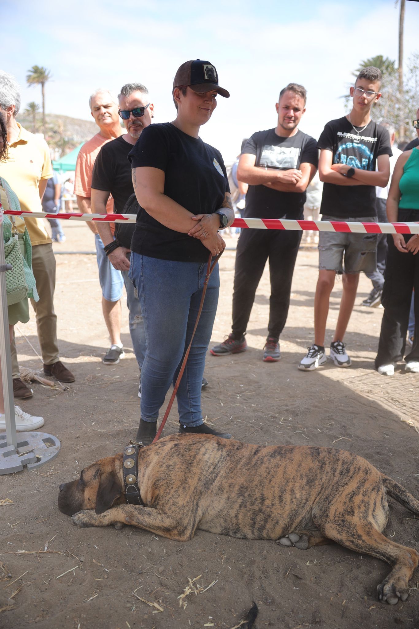 La feria de ganado de Telde, en imágenes