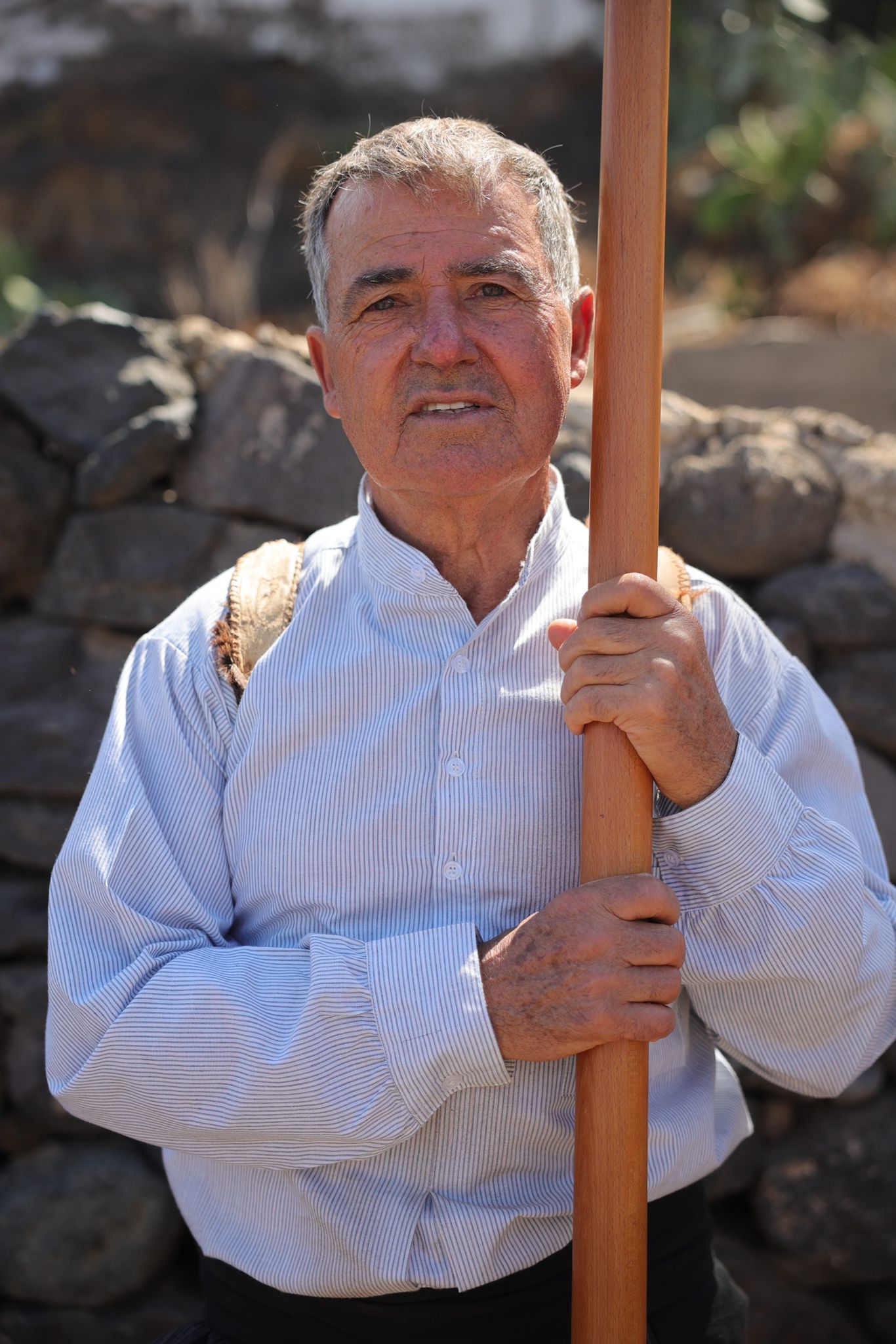 La feria de ganado de Telde, en imágenes