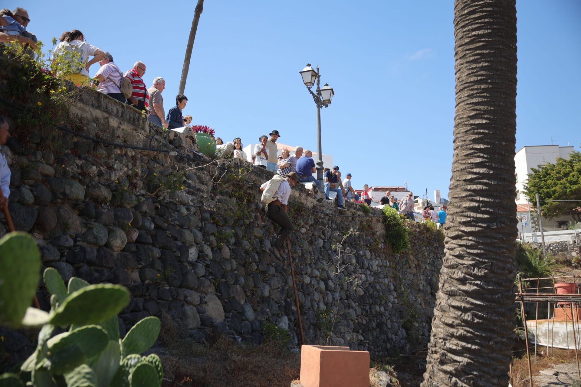 La feria de ganado de Telde, en imágenes
