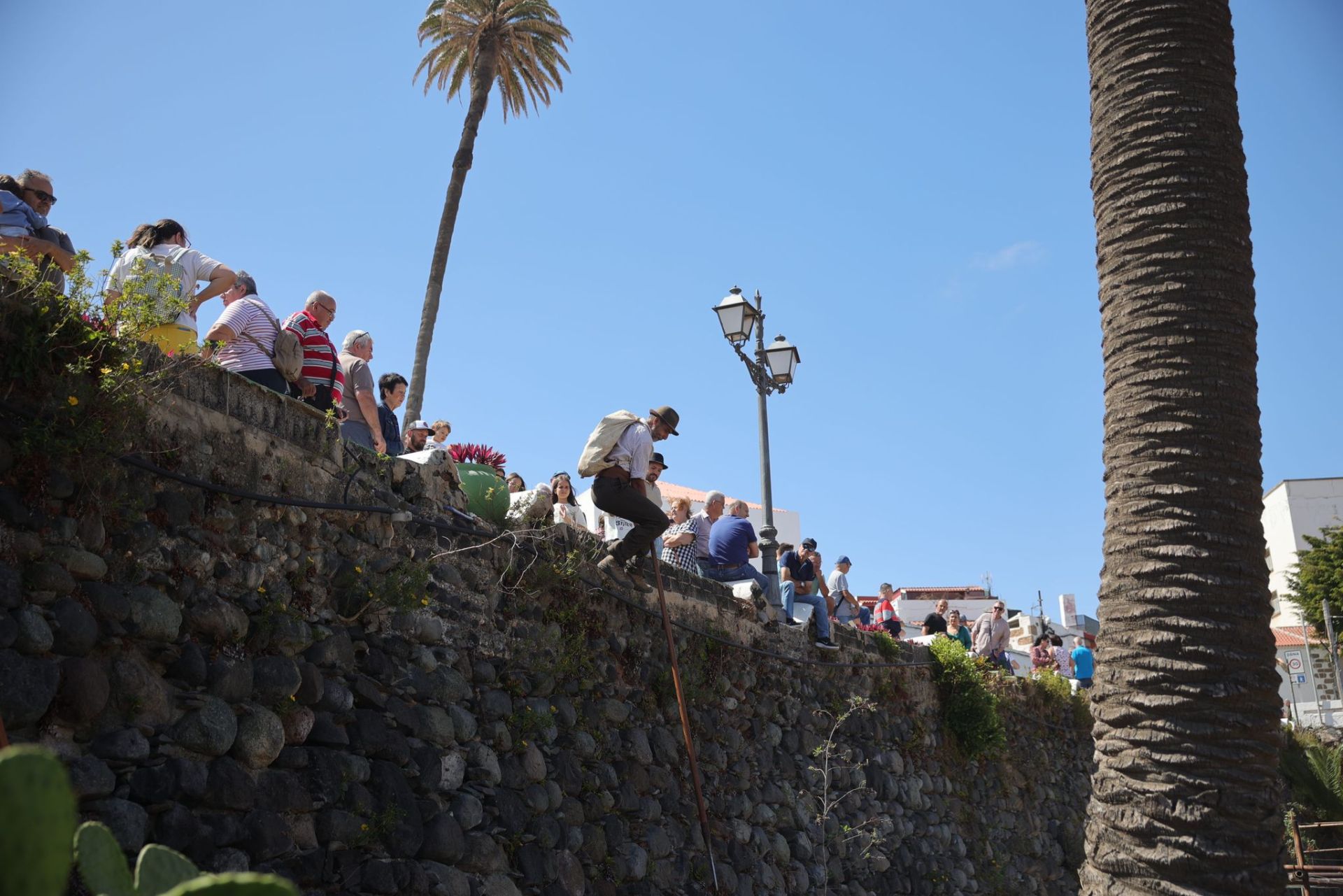 La feria de ganado de Telde, en imágenes