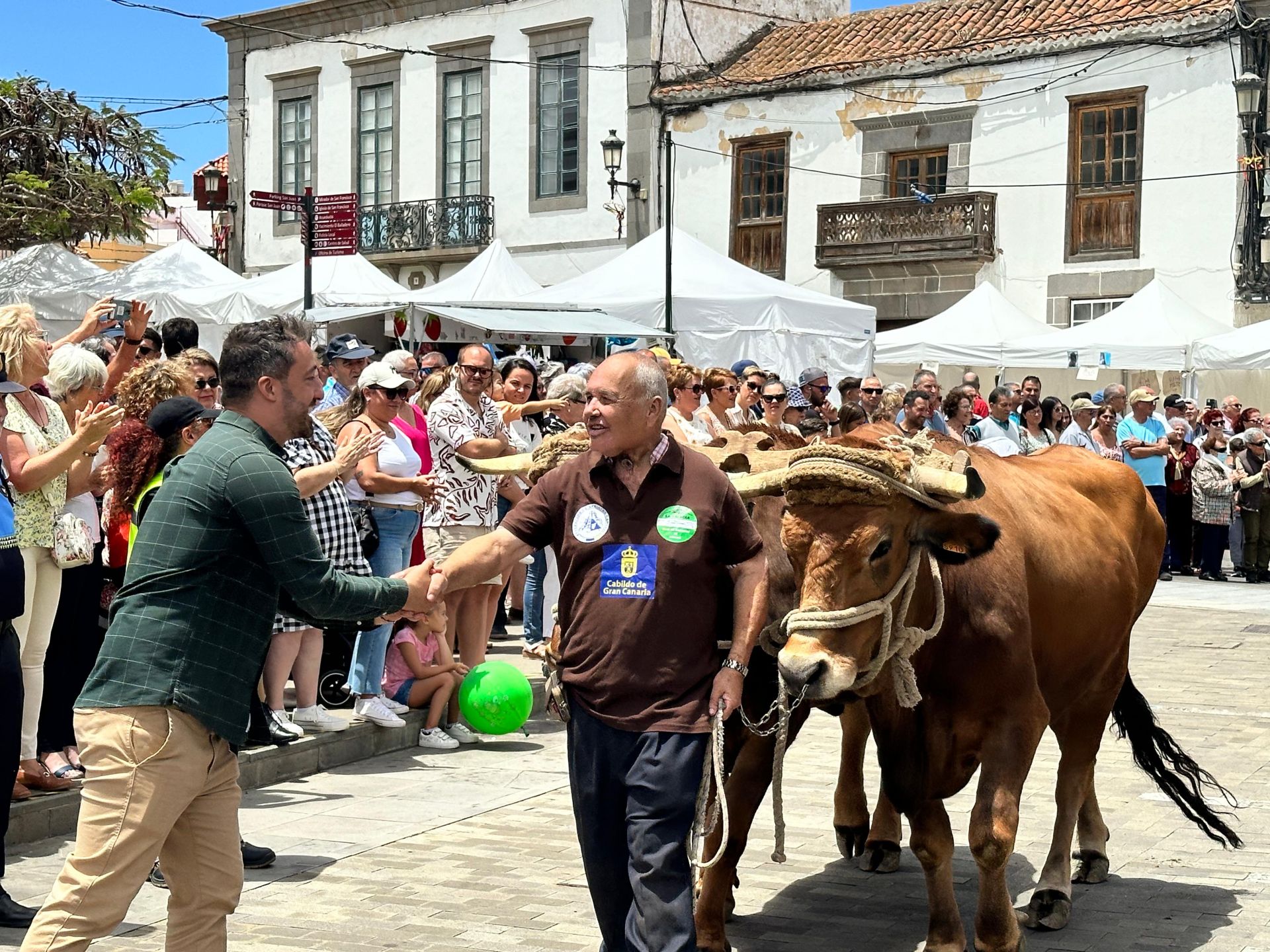 La feria de ganado de Telde, en imágenes