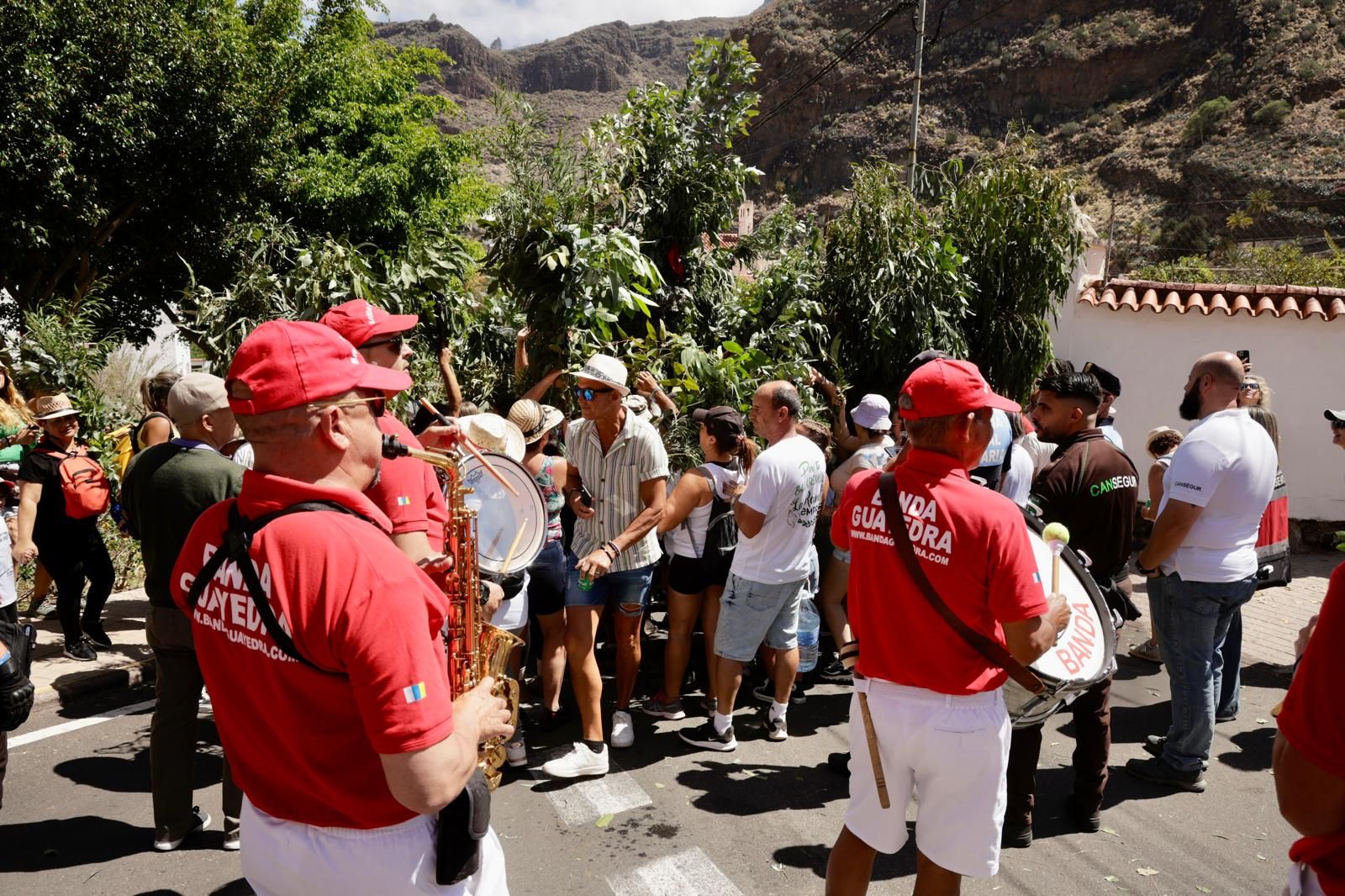 El Valle de Agaete vibra con la Rama de San Pedro, en imágenes