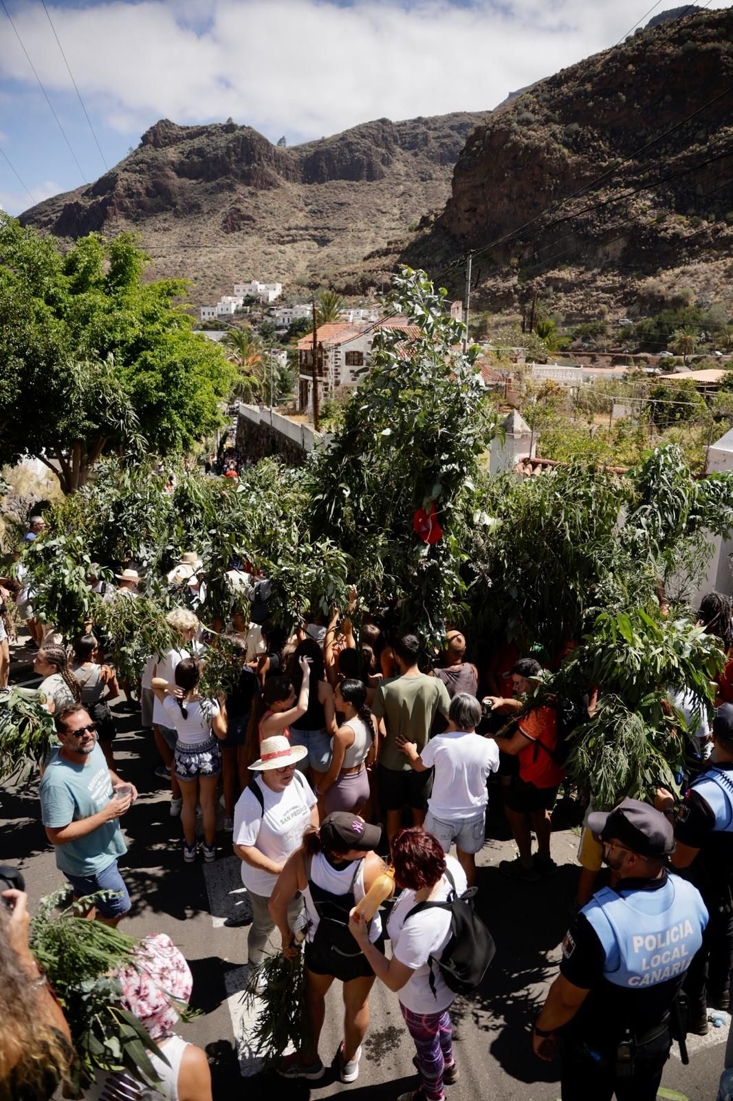 El Valle de Agaete vibra con la Rama de San Pedro, en imágenes