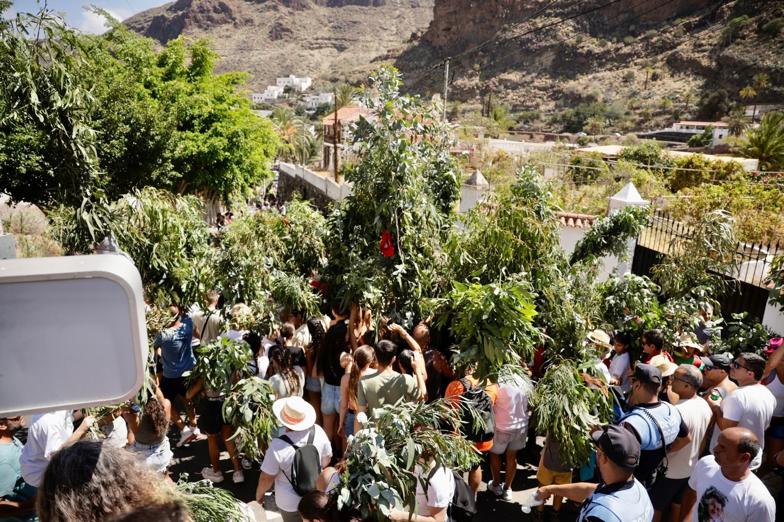 El Valle de Agaete vibra con la Rama de San Pedro, en imágenes