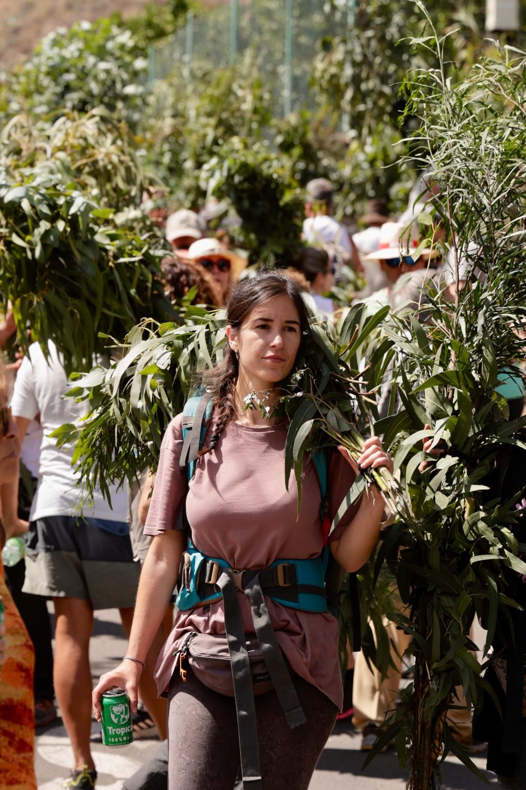 El Valle de Agaete vibra con la Rama de San Pedro, en imágenes