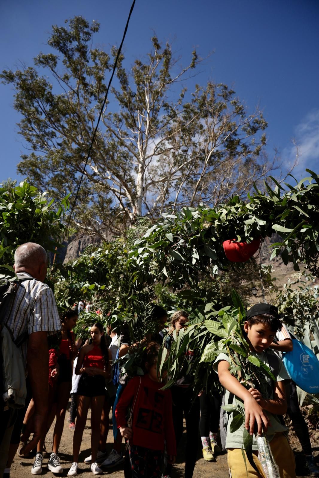 El Valle de Agaete vibra con la Rama de San Pedro, en imágenes