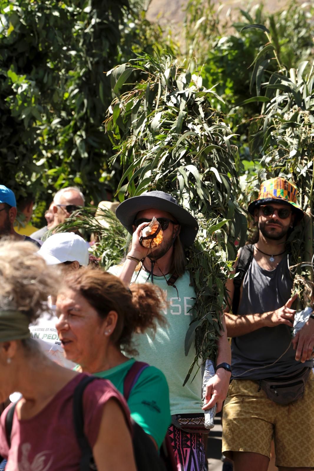 El Valle de Agaete vibra con la Rama de San Pedro, en imágenes