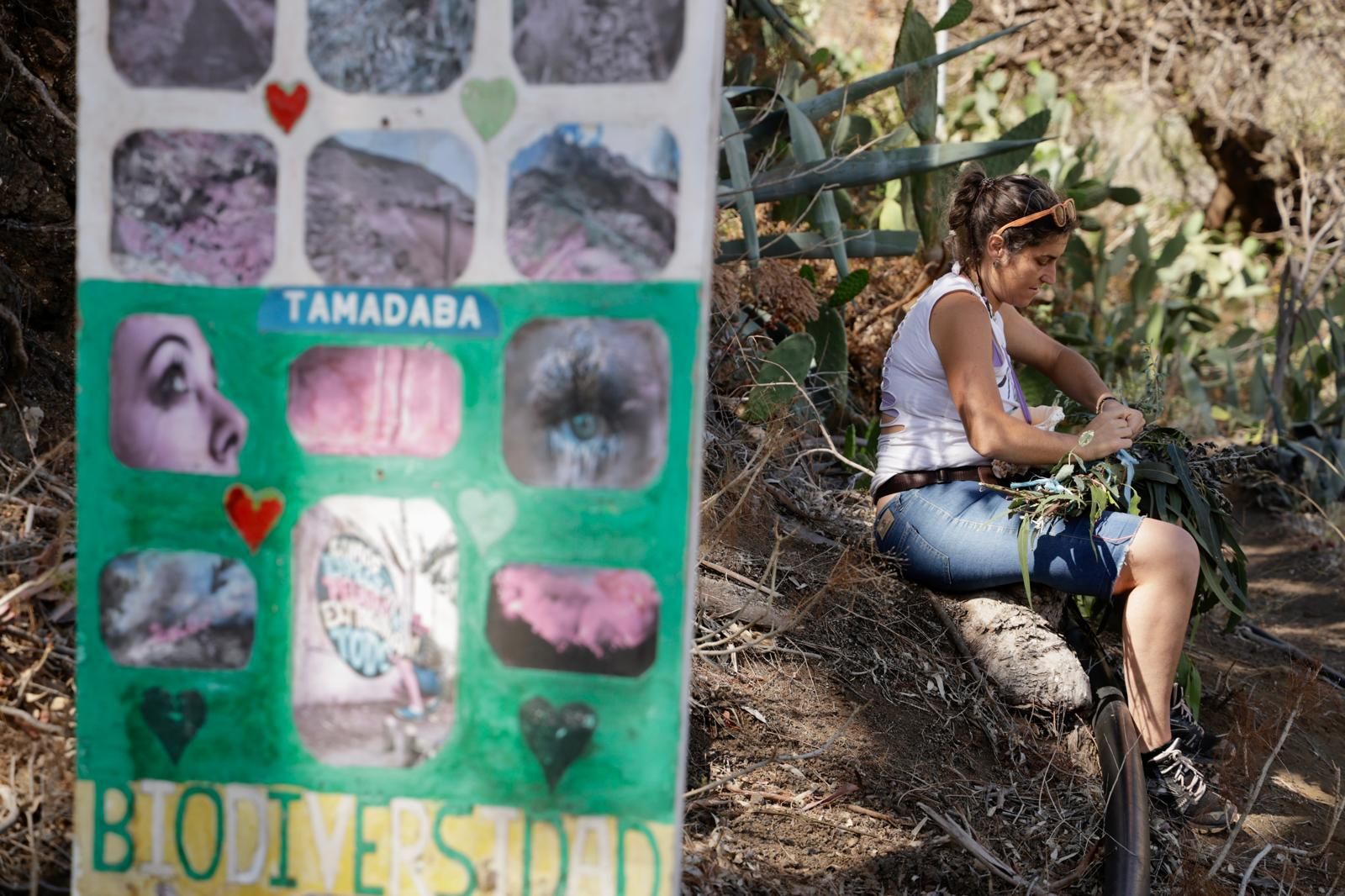 El Valle de Agaete vibra con la Rama de San Pedro, en imágenes