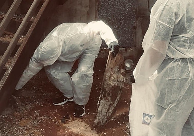 Operarios en plena limpieza de una torre de la iglesia de San Juan.