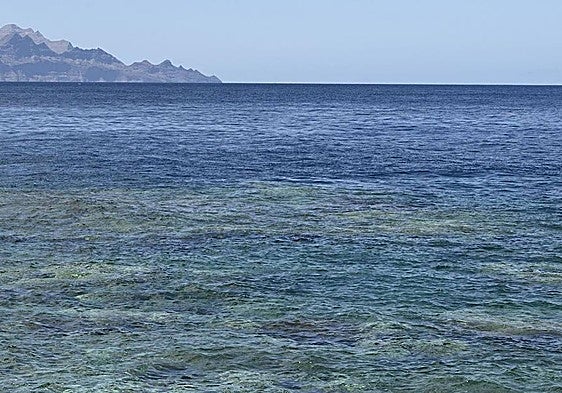 Canarias puede ser pionera en la restauración de nuestros océanos