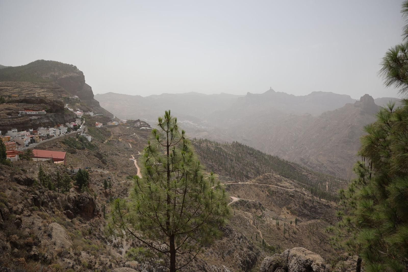 Calor y calima en Gran Canaria