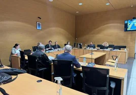Imagen del juicio celebrado en la Audiencia de Las Palmas.