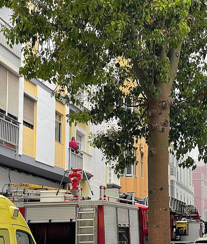 Imagen secundaria 2 - Imágenes del lugar del incendio.