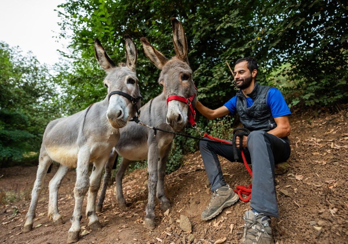 El pago de Lanzarote acoge la primera Noche Mágica del Burro