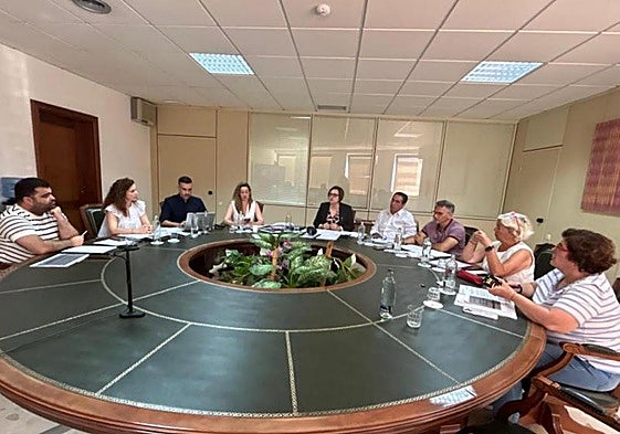 La consejera de Bienestar Social, Candelaria Delgado, presidió ayer en Tenerife la reunión del Consejo General de Servicios Sociales.