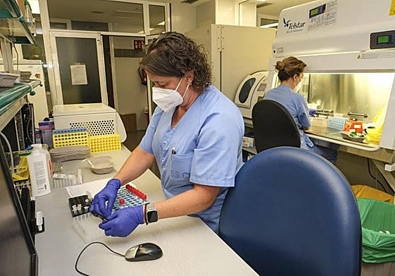 Imagen de archivo del laboratorio de Microbiología del hospital Doctor Negrín.