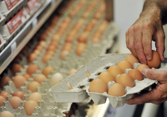 Los huevos y la mayonesa causan el 42% de los brotes de salmonelosis detectados en las islas.