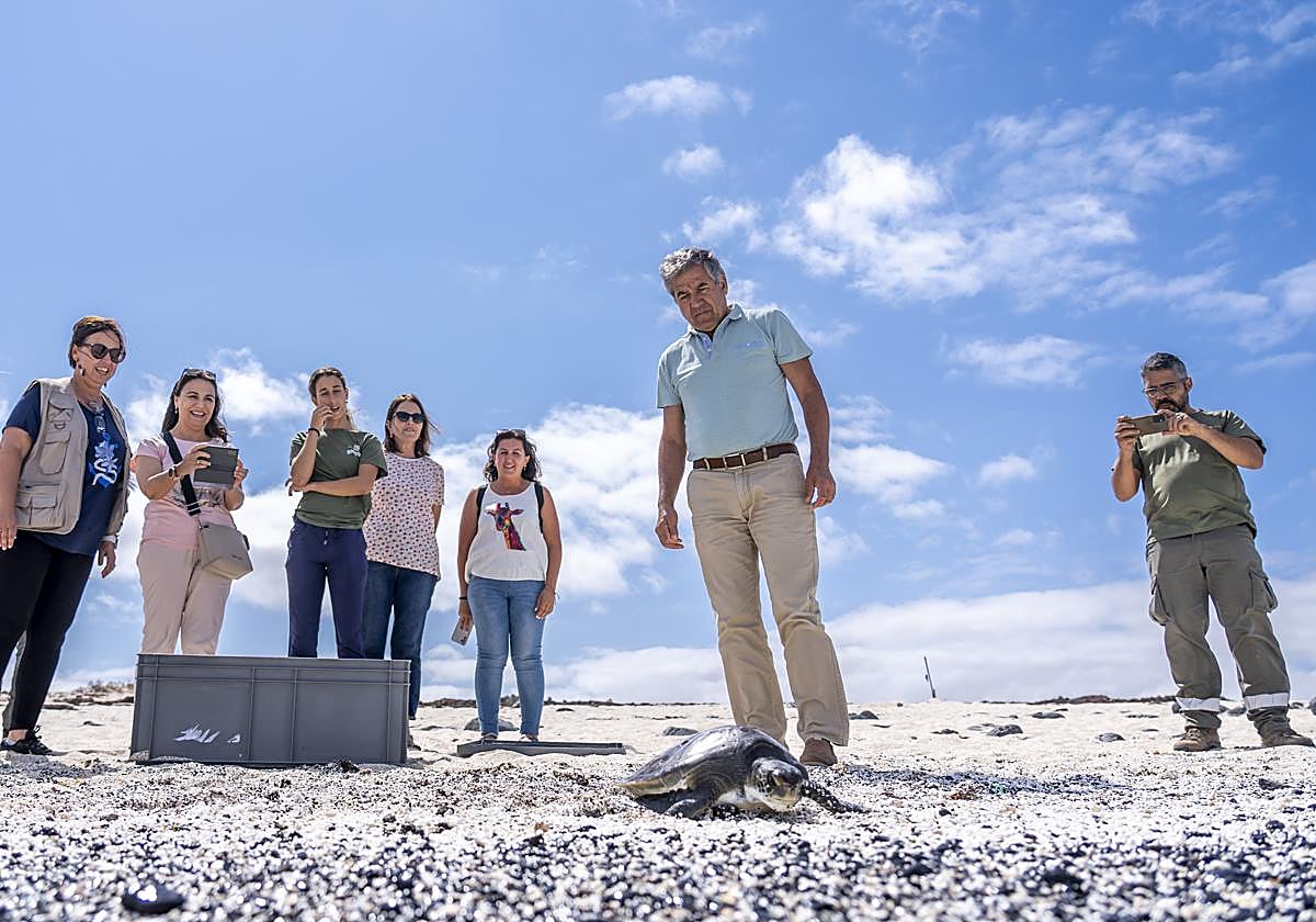 Liberación de la tortuga.