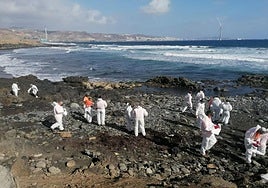 Imagen de los trabajos de limpieza en una de las playas del municipio teldense recientemente tras el vertido.