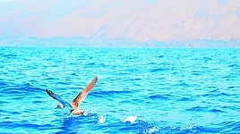 El tratado de alta mar